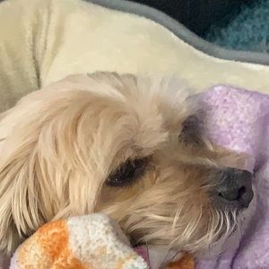 Meet your Posher, Sandra